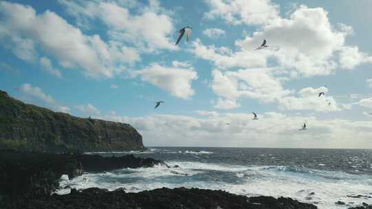 悬崖，岩石，海浪，鸟类