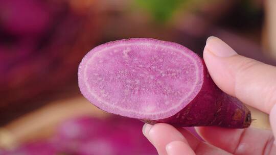新鲜紫薯视频素材模板下载