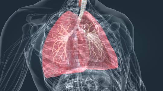 医学动画 肺功能 肺呼吸 肺活量 深呼吸视频素材模板下载