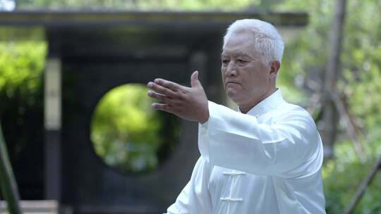 晨练太极老者打太极公园太极 传统武术展示