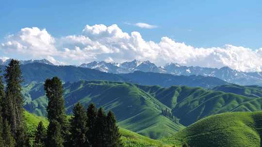 新疆恰西唯美震撼森林雪山航拍11