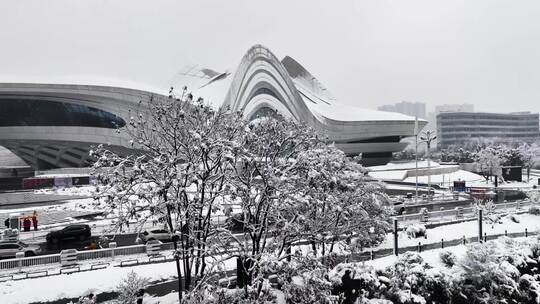 长沙梅溪湖国际文化艺术中心雪景