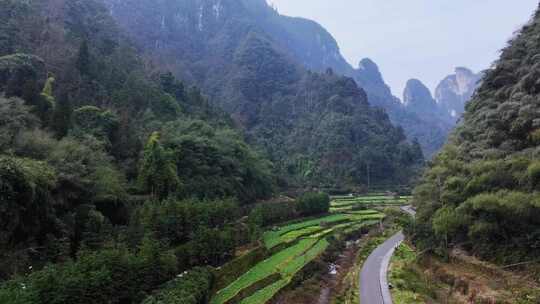 湖南湘西吉首矮寨峡谷航拍