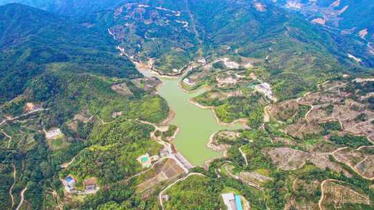 广东潮汕潮州市凤凰山茶园航拍