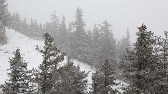 贺兰山金顶雪景视频 (9)