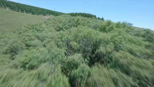 穿越机航拍内蒙古呼和浩特敕勒川高山草原