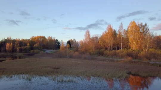 多莉变焦对树木反射的彩色秋季日落池塘上空低空拍摄的影响