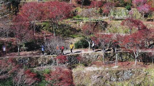 幸福水库 唐田村