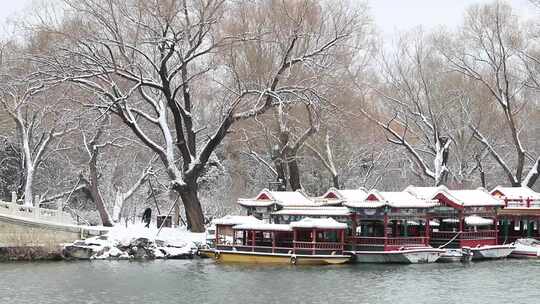 园林雪景