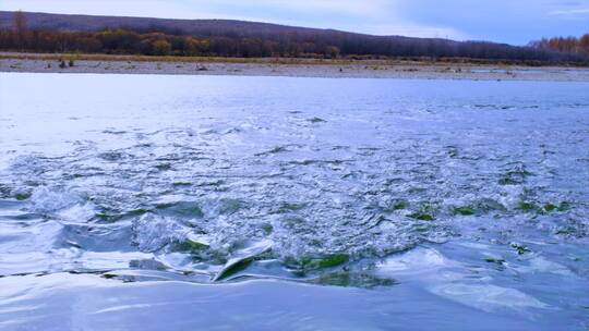 内蒙古根河市河流缓缓流水慢镜头