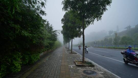 城市大雾天气