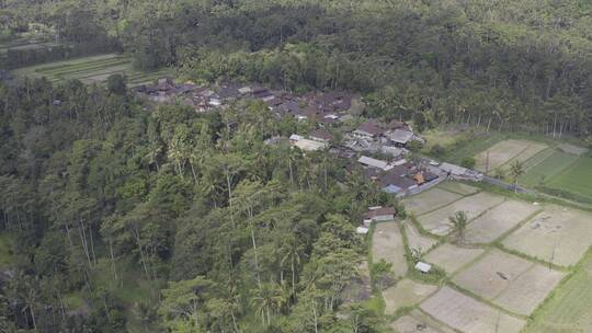 4K巴厘岛海岛乌布丛林城镇航拍风光