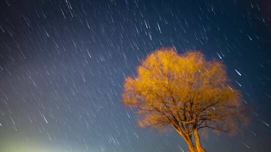 实拍4K龙窝湖孤独的树星空星轨