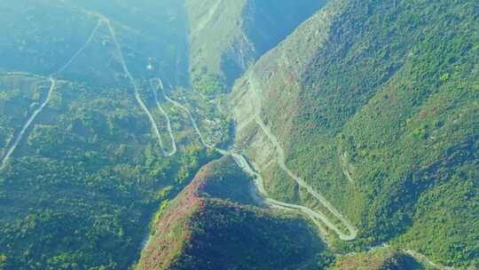 三峡红叶视频素材模板下载