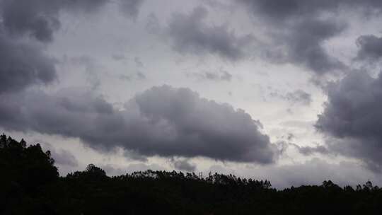 阴天森林乌云飘过树林阴雨天森林大景松树林