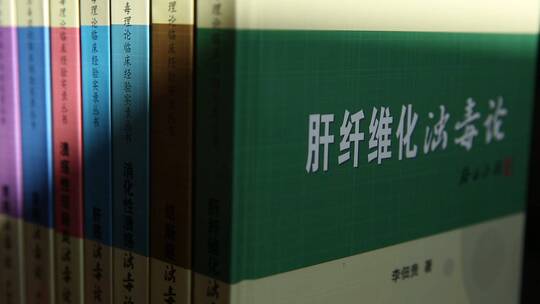 中医理论书籍视频素材模板下载