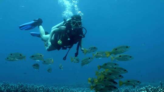 比基尼美女潜水鱼群海龟魔鬼鱼珊瑚礁四王岛