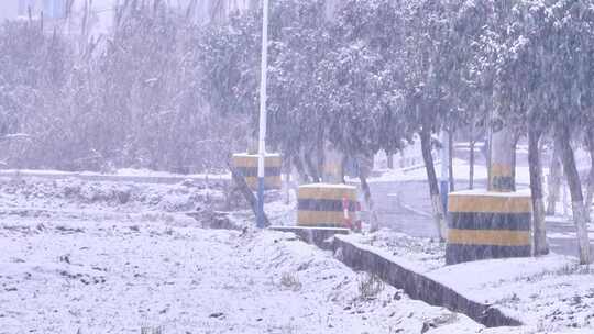 下雪雪景田野树木树林树枝雪花飘落视频素材模板下载