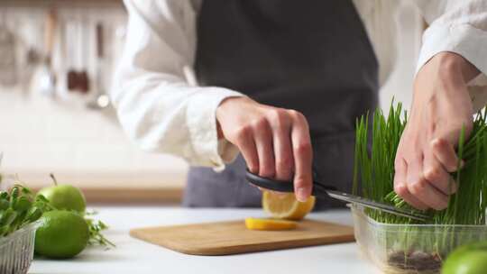 女医生营养师烹饪切割棒子新鲜草药芽用于烹