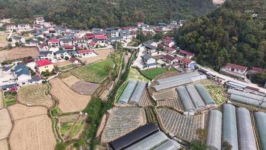 新农村发展农业种植大棚航拍