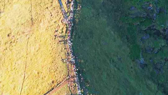 江西萍乡武功山金顶旅游人群航拍