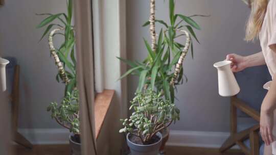 一个给盆栽浇水的女人