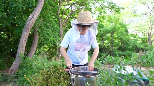 养蜂人蜂农采蜂蜜