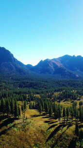 夏季喀斯喀特山和周围的加拿大落基山脉