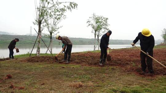 春耕农民挖土锄草种地