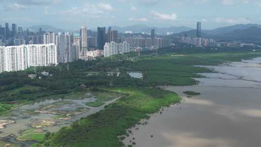 4K航拍深圳福田红树林湿地保护区