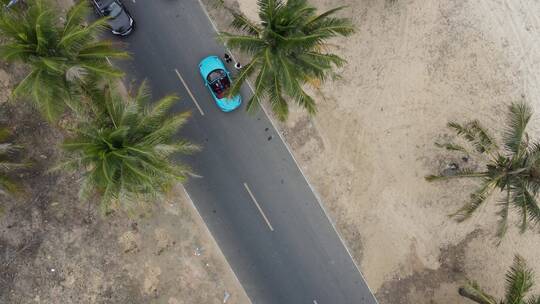 海南三亚海边沙滩椰子树道路风景