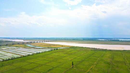 黄河河滩i河道生态建设视频素材模板下载