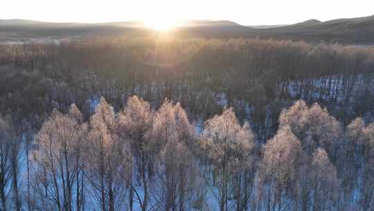 航拍雪原阳光树林雾凇