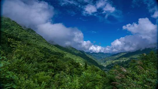 大气绿色和谐安康岚皋延时摄影实拍视频