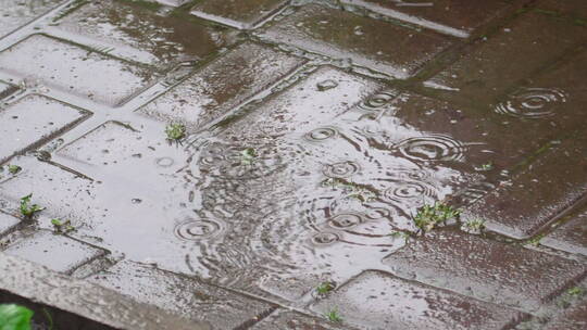 落在路面上的雨滴