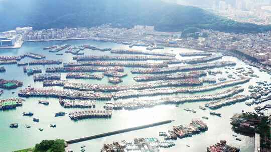 广东阳江海陵岛闸坡渔港码头视频素材模板下载
