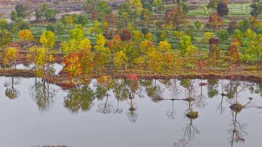 罗田九资河河西畈村清晨泛舟
