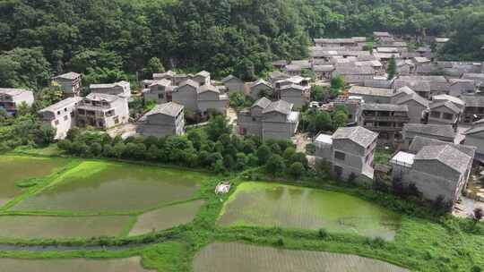 贵州安顺高荡村