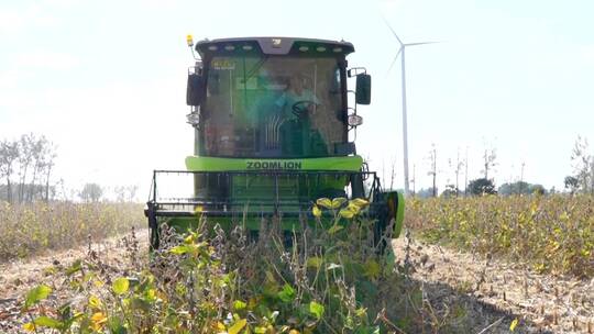 收割成熟黄豆 现代化农业机械生产大豆丰收
