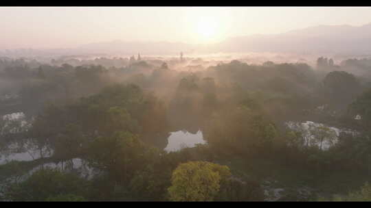 丁达尔光 西溪湿地 江南园林 晨光晨雾