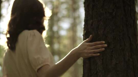 美女在树林散步视频素材模板下载