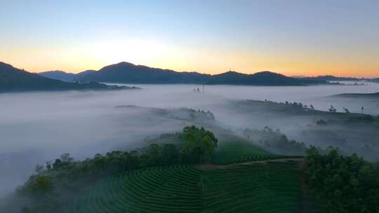 唯美茶山云海日出