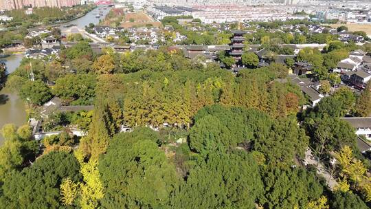 航拍秋季晴天的苏州寒山寺与京杭运河视频素材模板下载