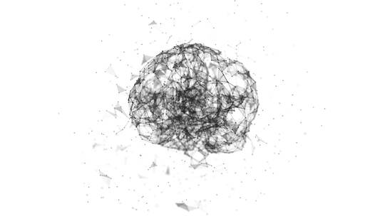 医学 大脑 脑科学 三维 脑ct1 模型