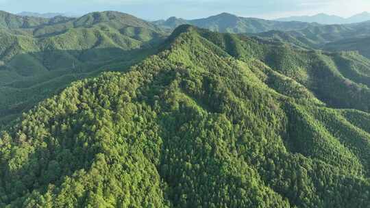 森林航拍山水树林自然风景大自然风光绿色山