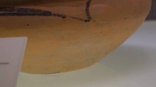 原始社会河姆渡人陶罐彩绘