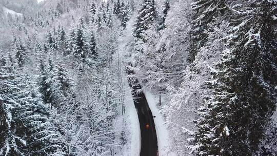 瑞士阿尔卑斯雪林冬季仙境路上的人，鸟瞰