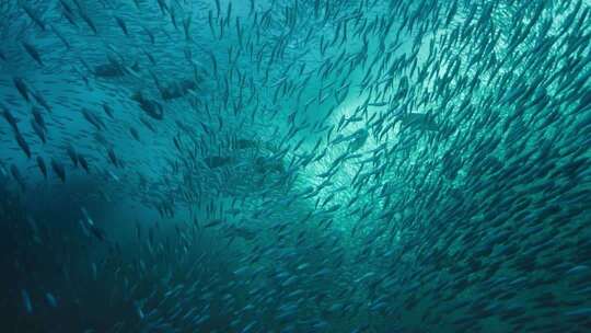 深海海面浪花水下合集