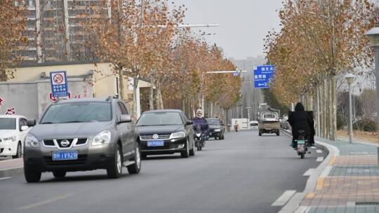 早上的河堤，路上的车