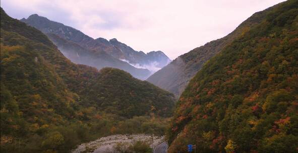 西安秦岭秋天下雨森林山丘云海